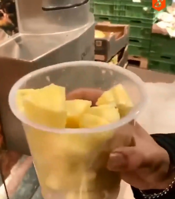 Good Customer Service to the Growth of your Business: German Made Pineapple peeling Machine